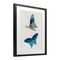 Stupell Industries Blue Butterflies Pair Framed Print Under Glass, design by Arlington Prints